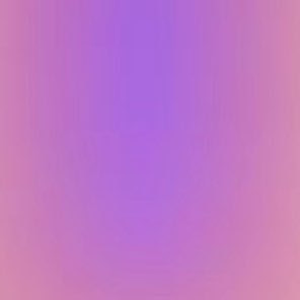 Meet your Posher, Bella